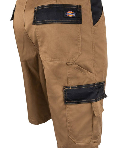 Antique Penny Black Coloured Dickies Mens Everyday Shorts on White Background
