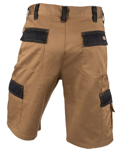 Antique Penny Black Coloured Dickies Mens Everyday Shorts on White Background
