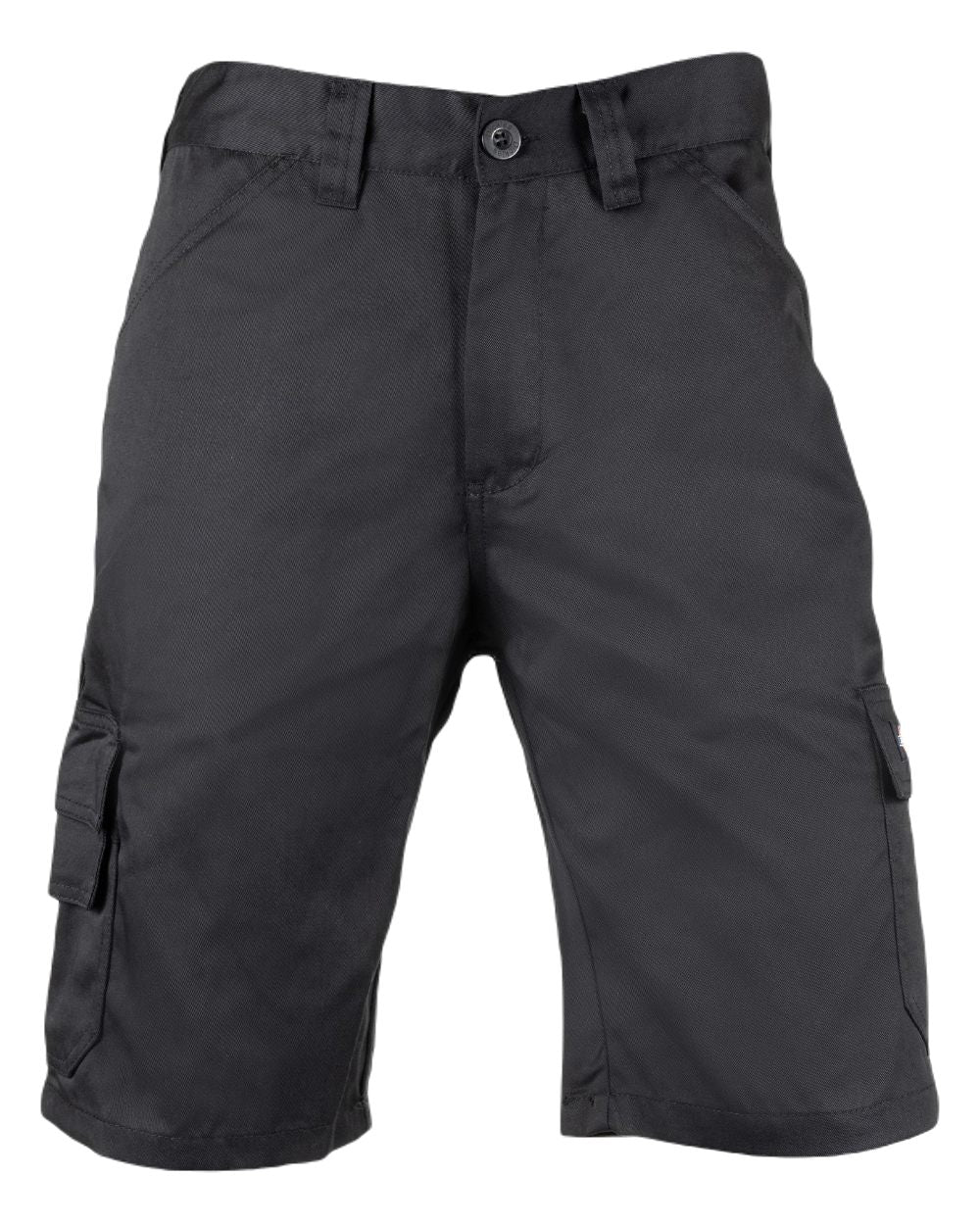 Black Coloured Dickies Mens Everyday Shorts on White Background
