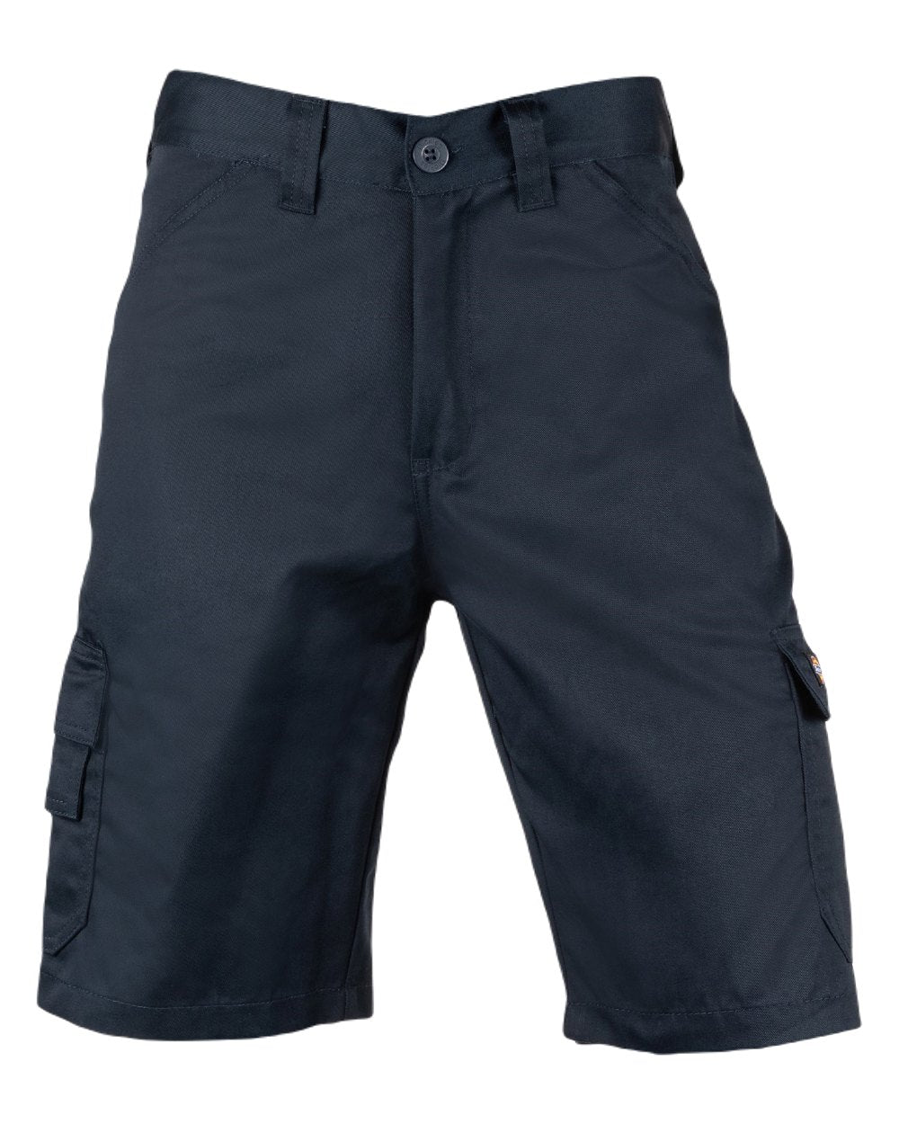 Dark Navy Coloured Dickies Mens Everyday Shorts on White Background
