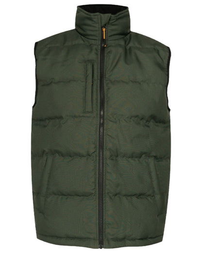 Green Coloured Xpert Mens Core Padded Work Bodywarmer on White Background
