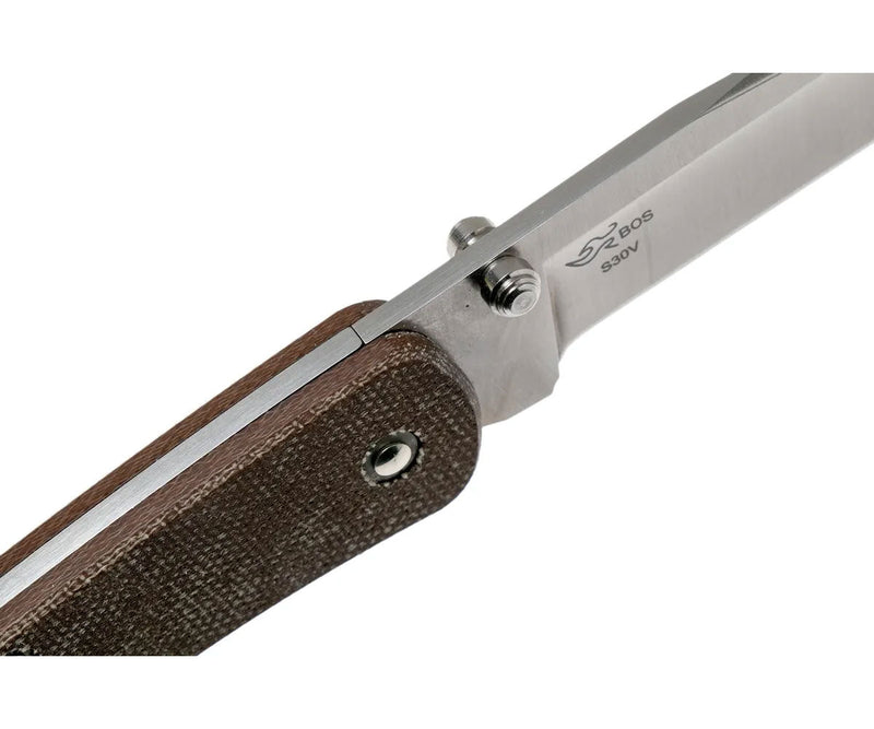 Blade lock Buck 110 Folding Hunter Slim Pro Knife