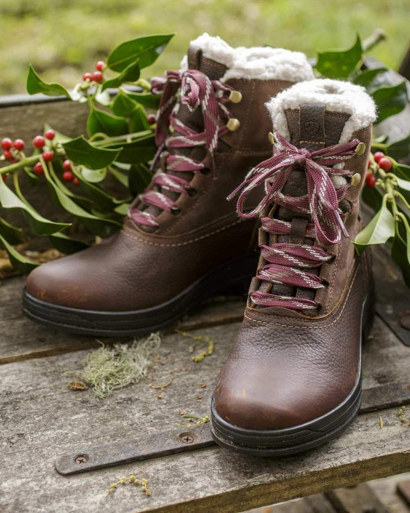 Ariat Womens Harper Waterproof Boots | Clearance in Dark Brown