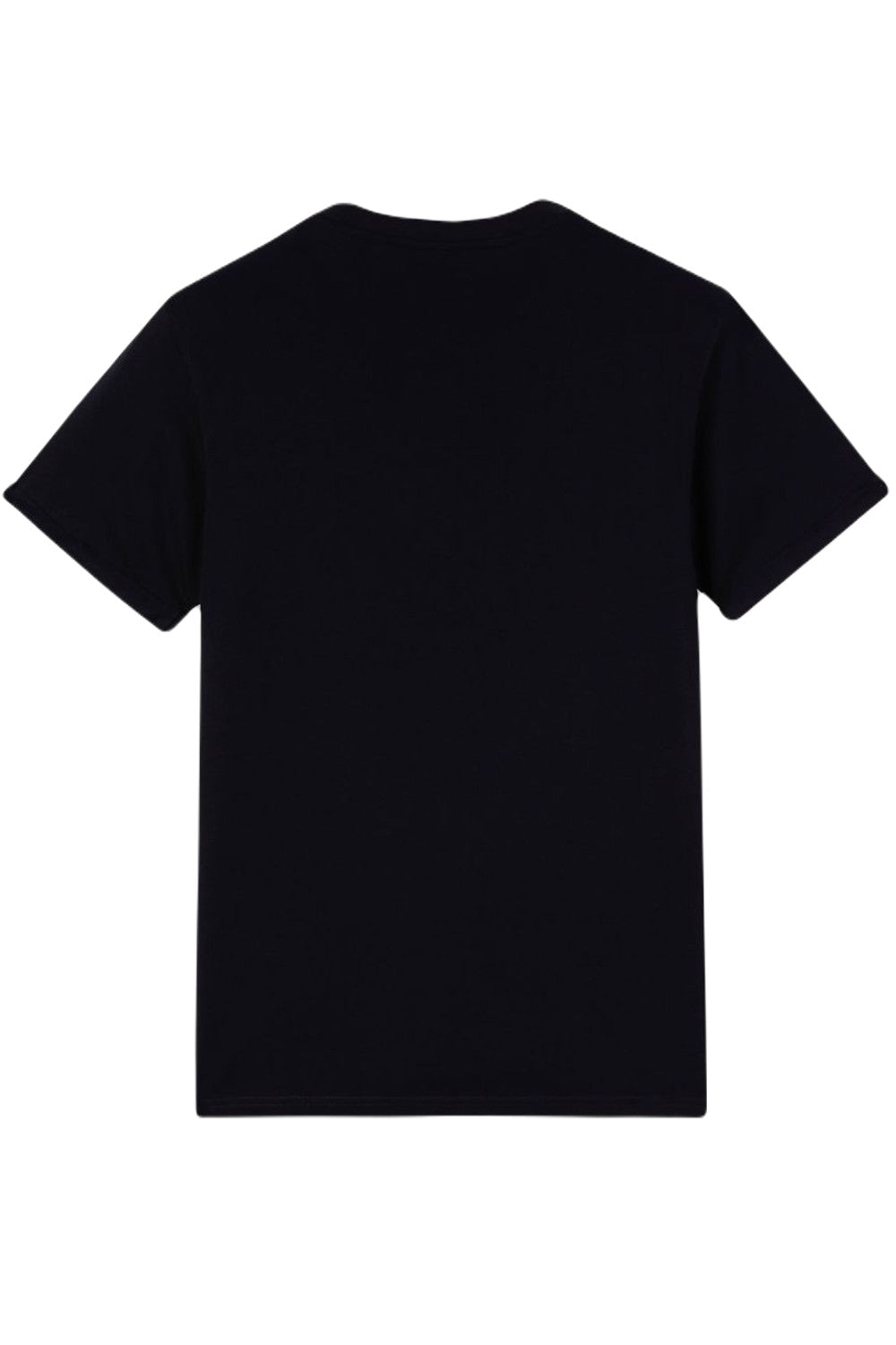 Dickies Denison T-shirt in Black