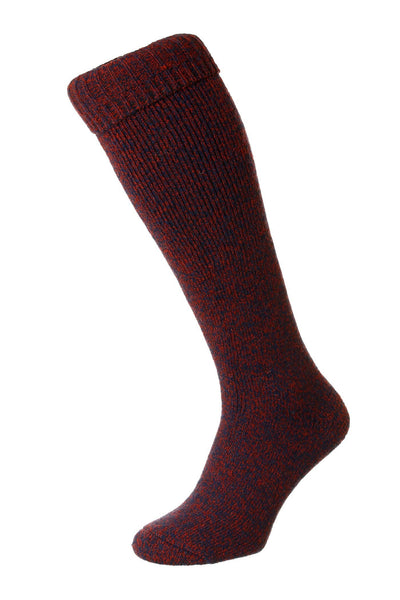 HJ Hall Wellington Sock - Hollands Country Clothing
